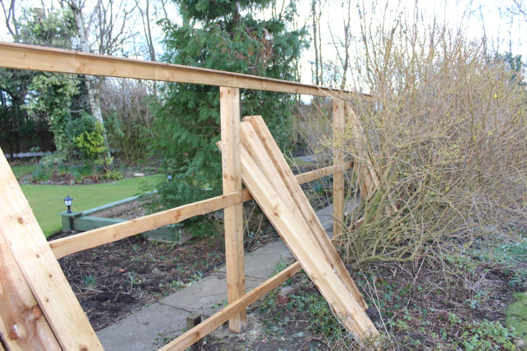 Treated Timber Fencing